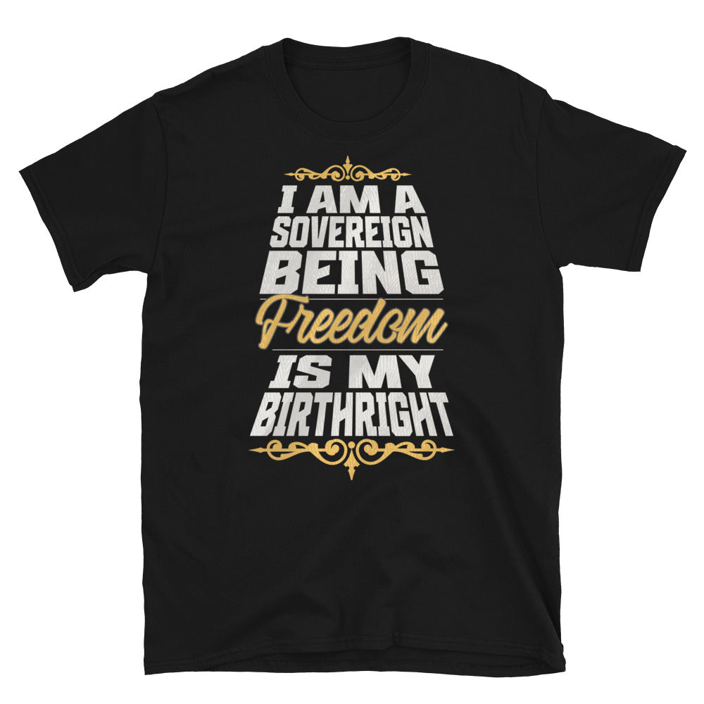 Sovereign Being TShirt - Black Color - https://ascensionemporium.net