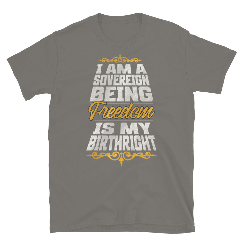 Sovereign Being TShirt - Charcoal Color - https://ascensionemporium.net