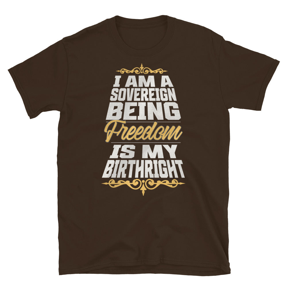Sovereign Being TShirt - Dark Chocolate Color - https://ascensionemporium.net