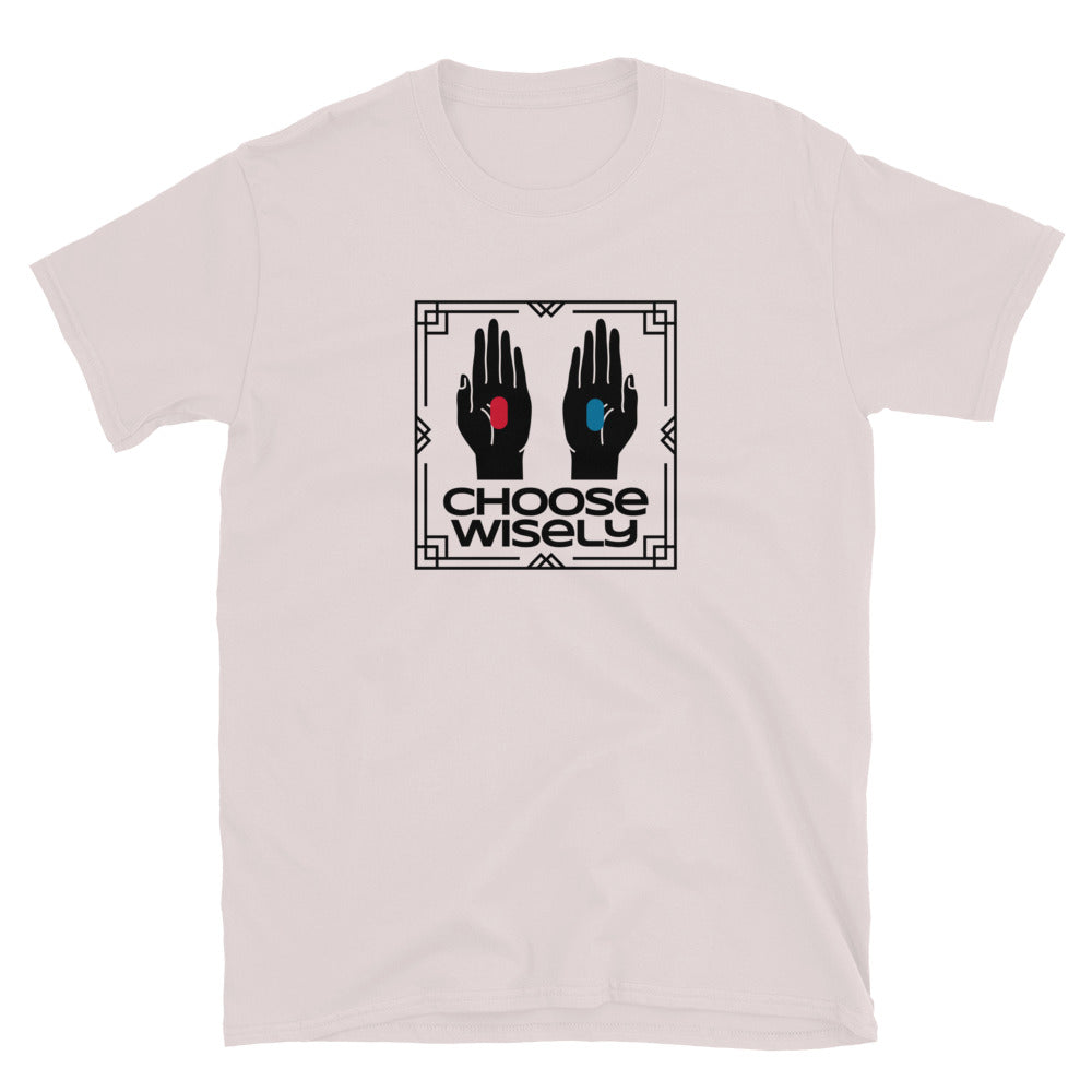 Choose Wisely TShirt - Ice Grey Color - https://ascensionemporium.net
