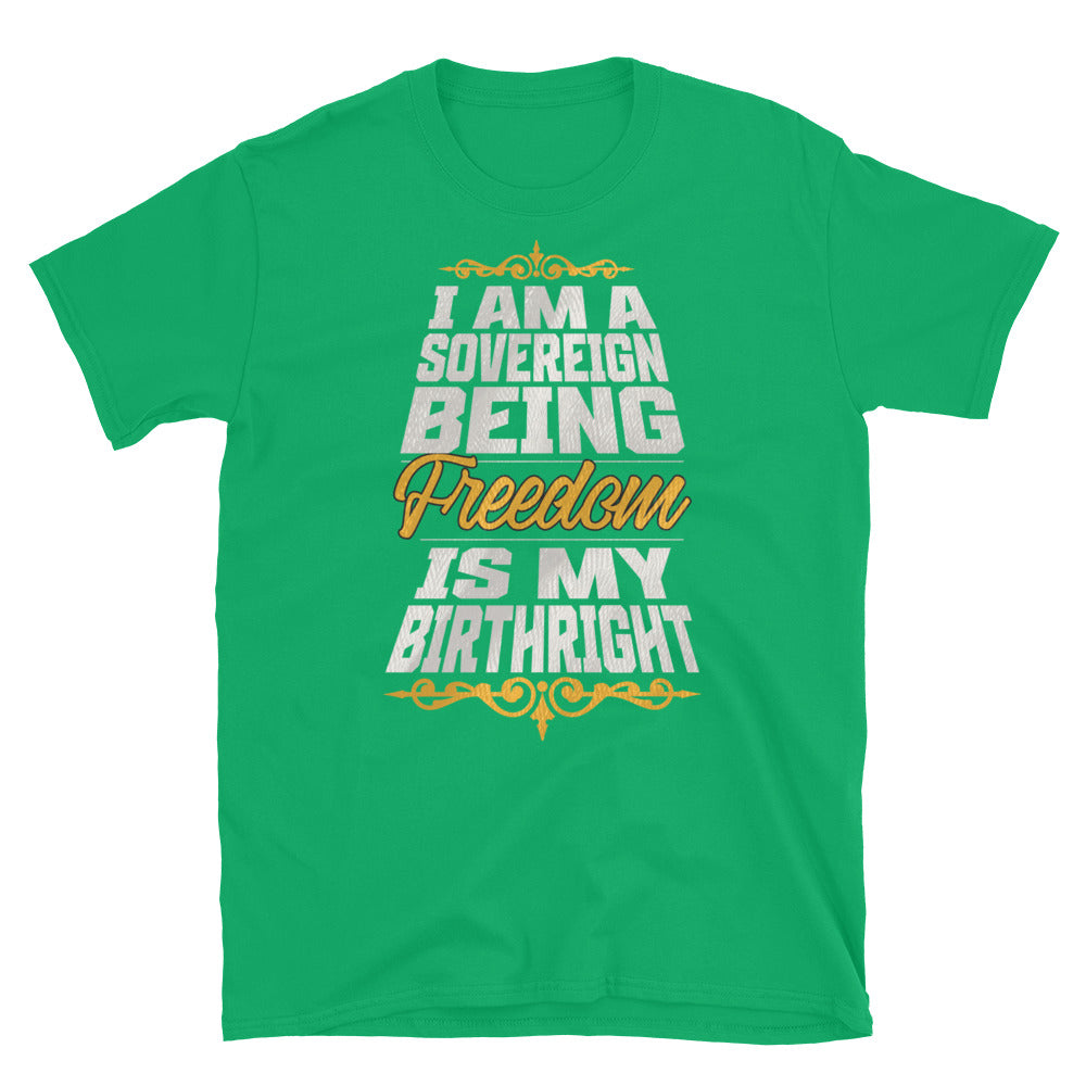 Sovereign Being TShirt - Irish Green Color - https://ascensionemporium.net