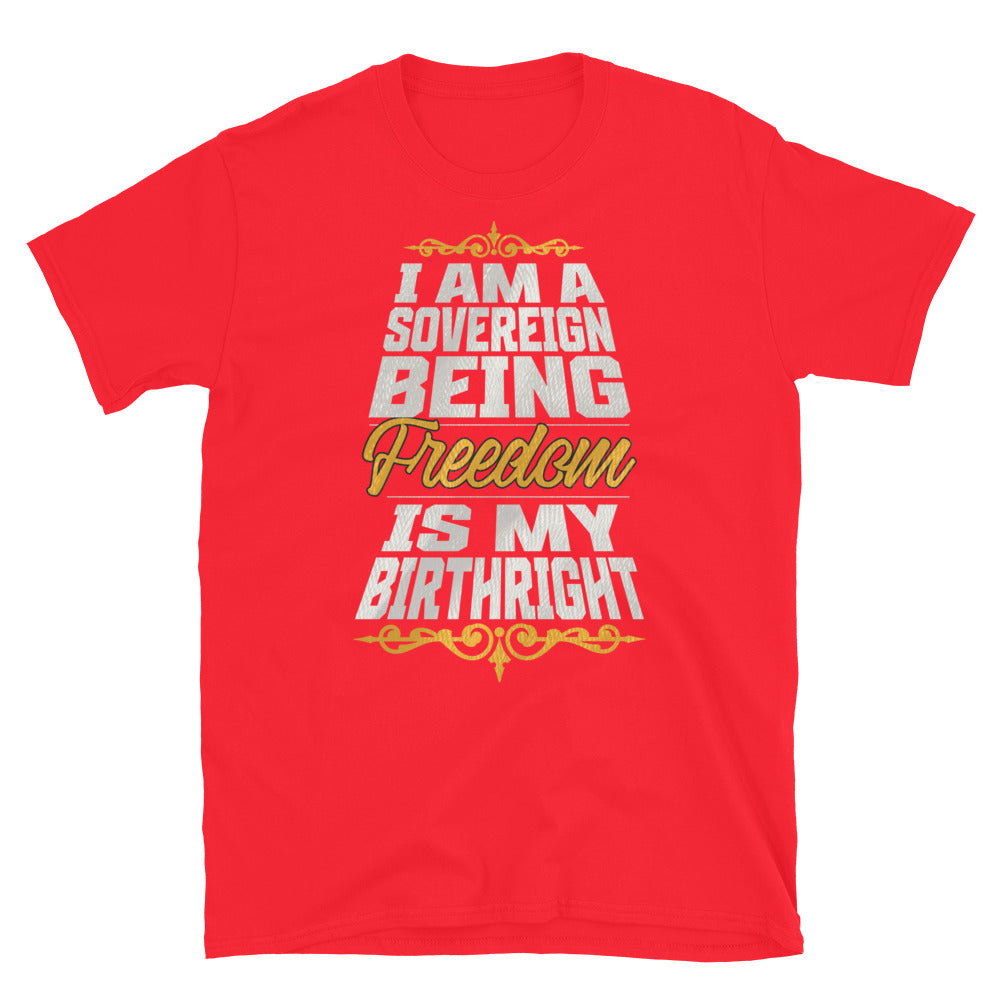 Sovereign Being TShirt - Red Color - https://ascensionemporium.net