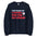 Don't Blame Me I Voted For The Ice Cream Sweatshirt - Navy Color - https://ascensionemporium.net