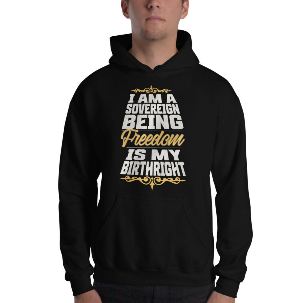 Sovereign Being Hoodie - Black Color - https://ascensionemporium.net