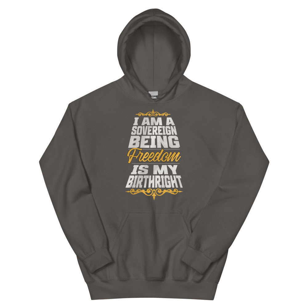 Sovereign Being Hoodie - Charcoal Color - https://ascensionemporium.net
