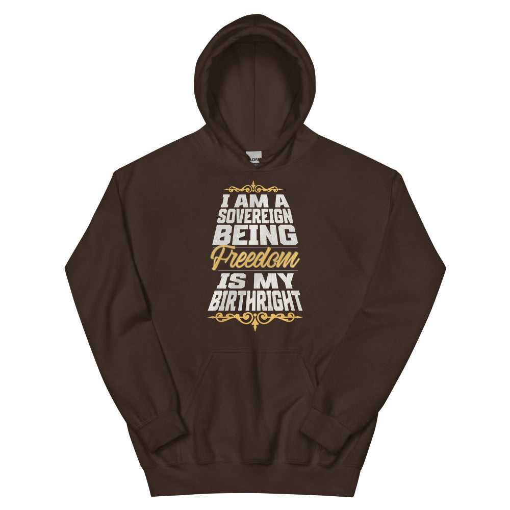 Sovereign Being Hoodie - Dark Chocolate Color - https://ascensionemporium.net