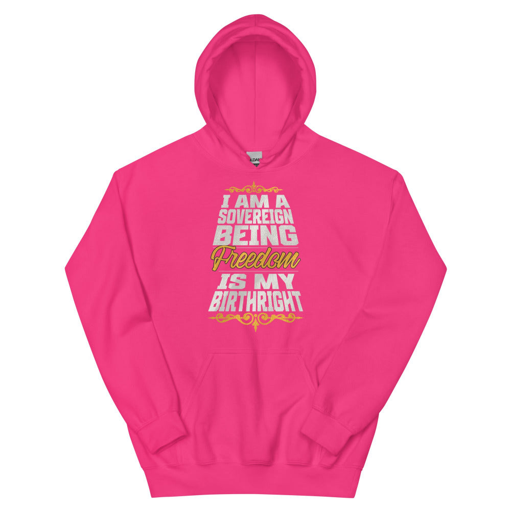 Sovereign Being Hoodie - Heliconia Color - https://ascensionemporium.net