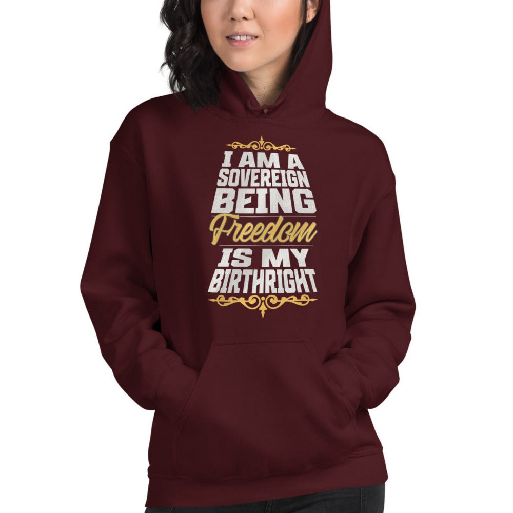 Sovereign Being Hoodie - Maroon Color - https://ascensionemporium.net