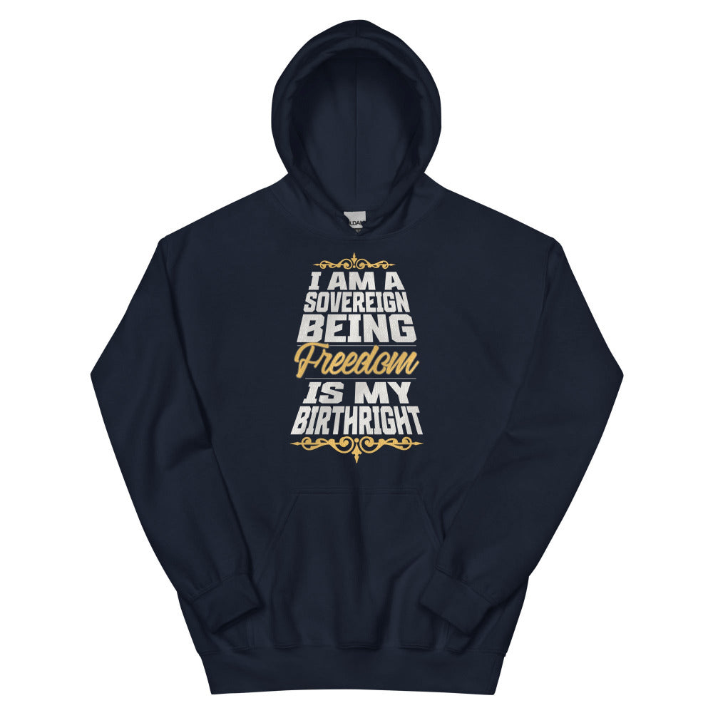 Sovereign Being Hoodie - Navy Color - https://ascensionemporium.net
