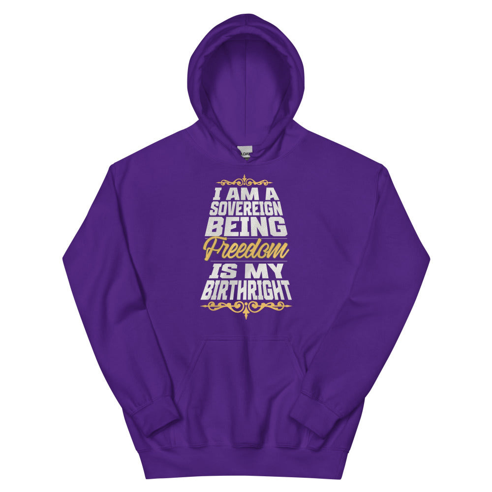 Sovereign Being Hoodie - Purple Color - https://ascensionemporium.net