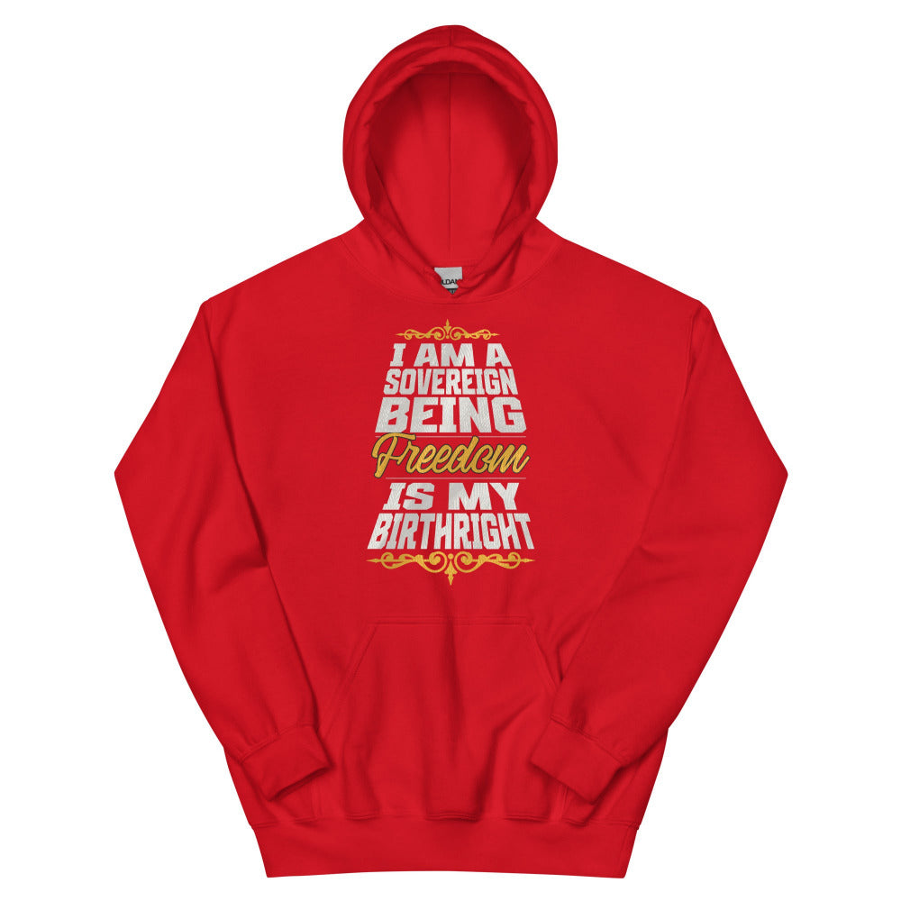 Sovereign Being Hoodie - Red Color - https://ascensionemporium.net