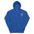 Vote For Ice Cream Embroidered Hoodie - Royal Color - https://ascensionemporium.net